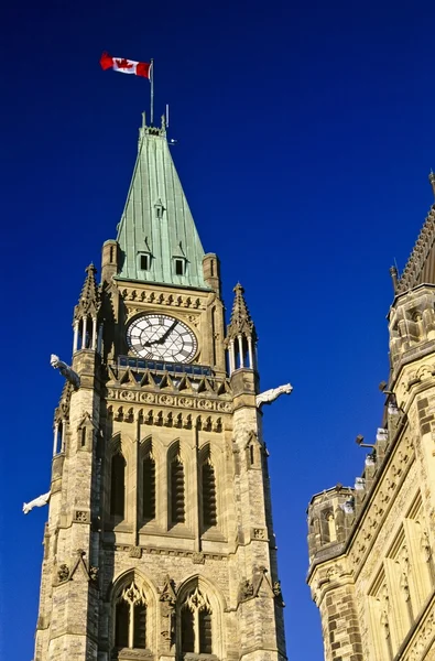 The Peace Tower, Canadian Parliament Buildings, Ottawa, Ontário, Canadá — Fotografia de Stock