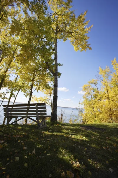 秋の湖のそばの公園のベンチ — ストック写真