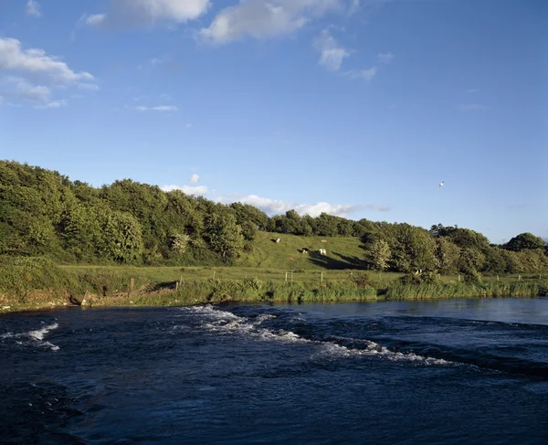 Rivieren en meren, rivier boyne, in de buurt van bective abbey, — Stockfoto