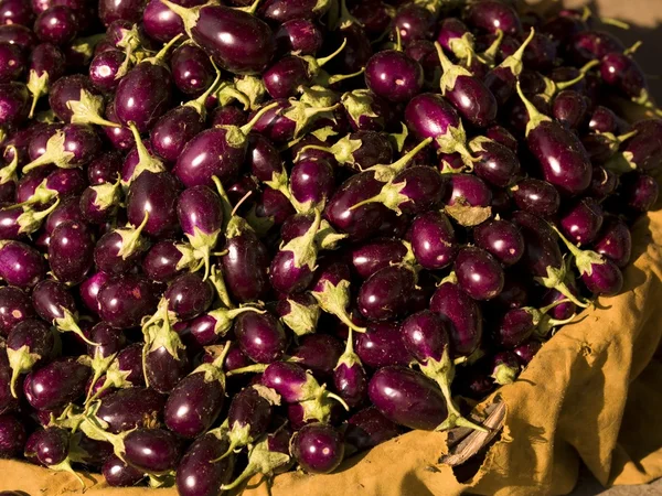 Aubergines, Jaipur, Inde — Photo