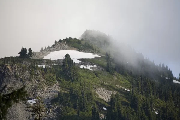 Mount Rainier national park — Stock Photo, Image