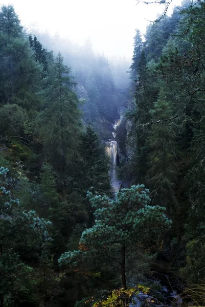 Ліс і водоспад у гористій місцевості, Шотландія — стокове фото
