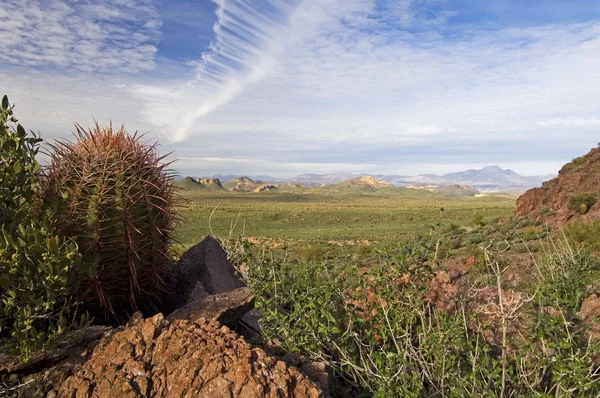 Förlorade holländaren state park, arizona, usa — Stockfoto