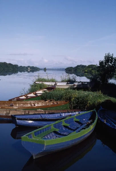 Co Kerry, Killarney, Lough Leane — Stock Photo, Image