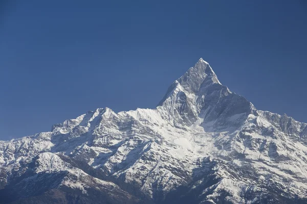 Machapuchhre of fishtail berg in de regio van de annapurna van nepal in de buurt van pokhara, nepal — Stockfoto