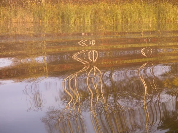 Increspature nell'acqua — Foto Stock