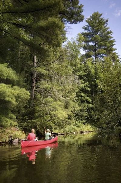 Couple canoeing down a river — Stock Photo, Image