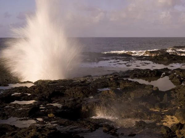 Spuiten Hoorn, Kauai, Hawaï — Stockfoto