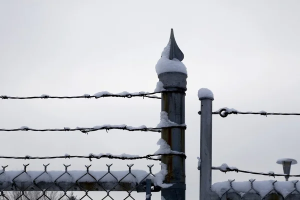 Kip draad hek en prikkeldraad bedekt met sneeuw — Stockfoto