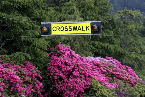 Sinal Crosswalk — Fotografia de Stock