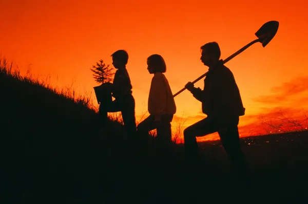 Silhouette di famiglia andando a piantare un albero — Foto Stock