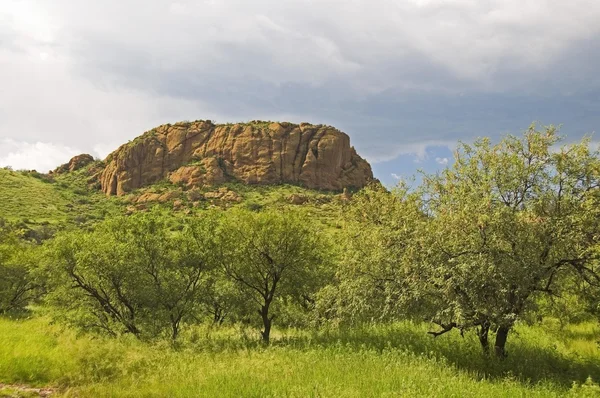 Pajarito berg, arizona, usa — Stockfoto