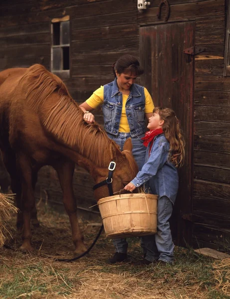 Voeding van het paard — Stockfoto