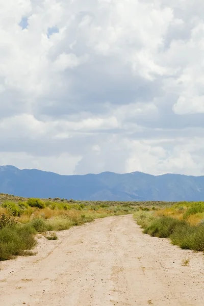 Novo México, EUA. Trilha do deserto com montanhas à distância — Fotografia de Stock