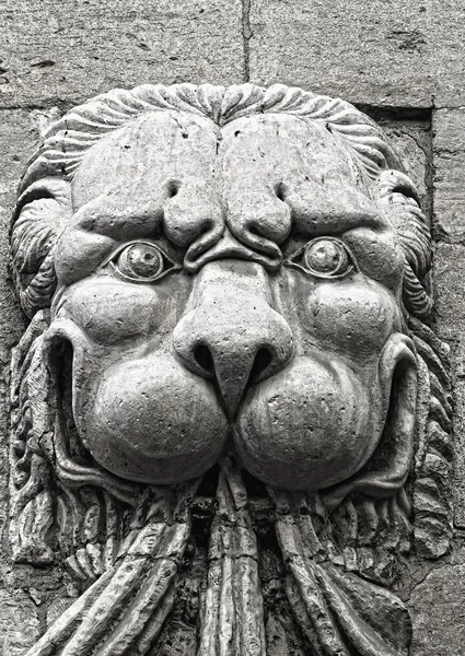 Papežova palác, avignon, provence, Francie. socha lva — Stock fotografie