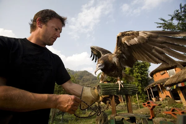 Uomo con Avvoltoio Egiziano (Neophron Percnopterus), Pokhara, Nepal — Foto Stock