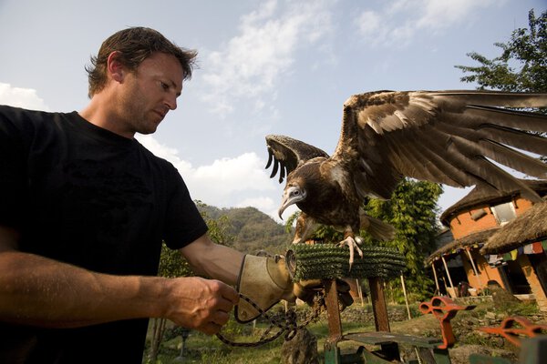 Man With Egyptian Vulture(Neophron Percnopterus), Pokhara, Nepal