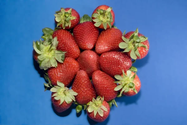 Erdbeeren — Stockfoto