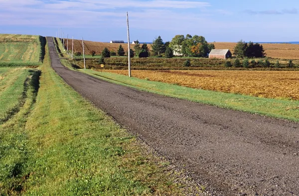 Camino rural a lo largo de granjas en Hampton, Prince Edward Island, Canadá — Foto de Stock