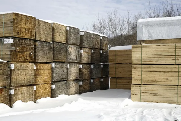 Piles de bois d'oeuvre résineux en hiver — Photo