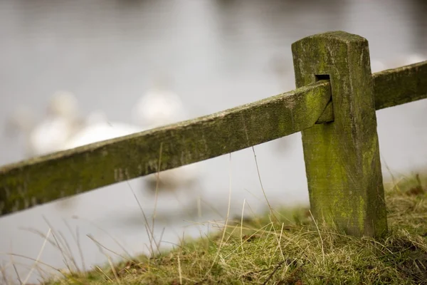 Wooden fence — Stock Photo, Image