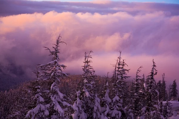 Lever de soleil sur le mont Hood, Oregon, États-Unis — Photo