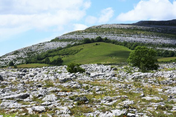 View of rock landscape