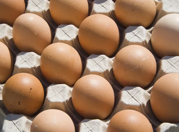 Коричневые яйца в Картоне — стоковое фото
