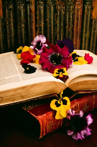 Książki historyczne i kwiatów układ — Zdjęcie stockowe