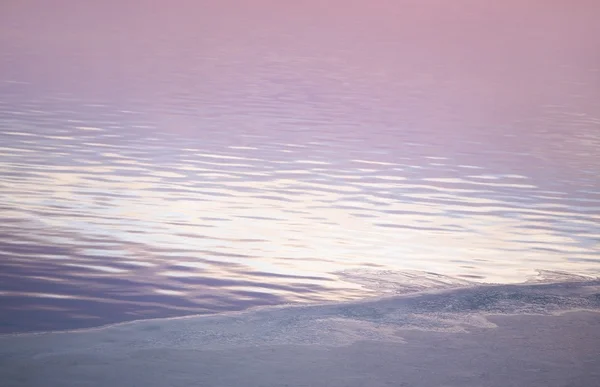 Lakeshore Al amanecer — Foto de Stock