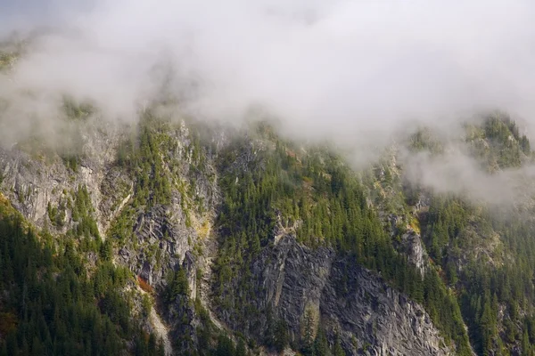 Passo Stevens, Mt. Rainier National Park, Washington, EUA — Fotografia de Stock