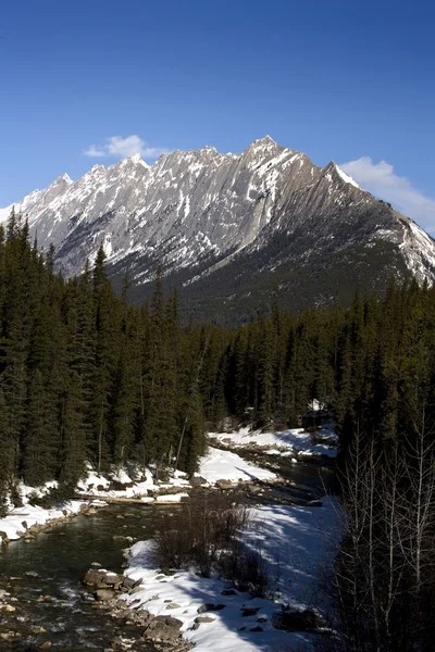 Maligne Mountains In Jasper National Park, Альберта, Канада — стоковое фото