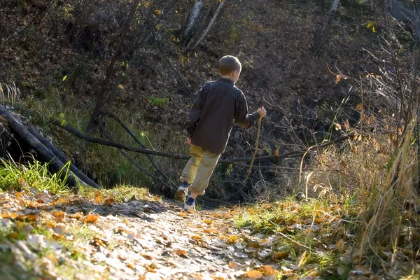 ハイキングの少年の背面図 — ストック写真