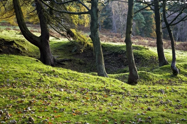 Zirve İlçe Milli Parkı, derbyshire, İngiltere — Stok fotoğraf