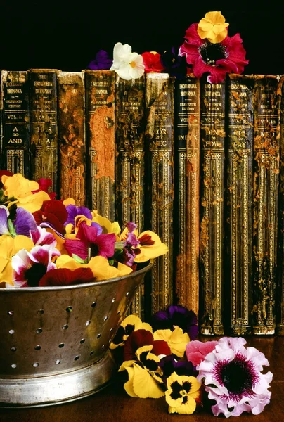 Historische Bücher und Blumenschmuck — Stockfoto