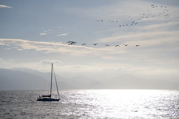 Tepegöz uçan kuşlar ile yelkenli — Stok fotoğraf