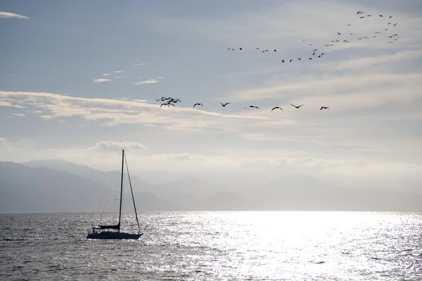 Voilier avec oiseaux volant au-dessus — Photo