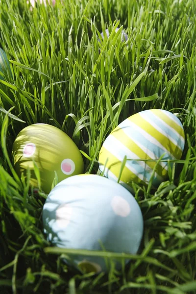 Ostereier im Gras — Stockfoto