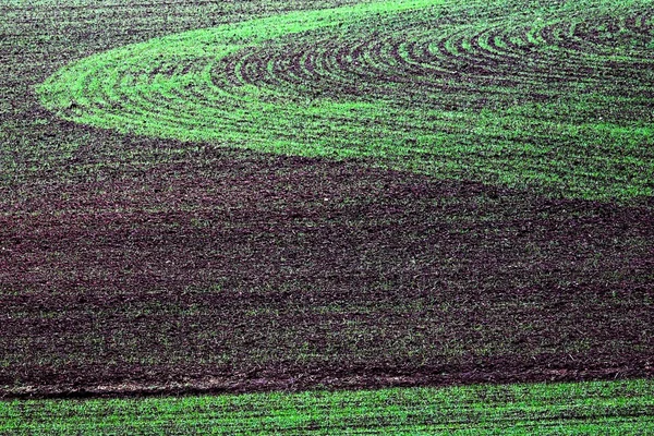 耕过的田里模式 — 图库照片