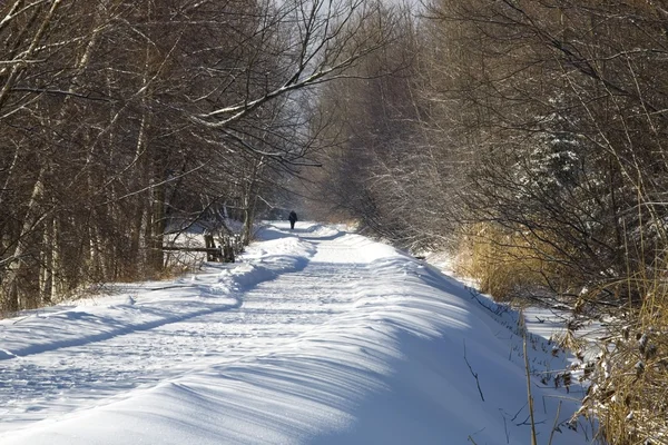 Winterweg — Stockfoto