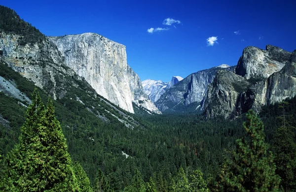 YOSEMITE Εθνικό πάρκο, Σιέρα Νεβάδα, Καλιφόρνια, ΗΠΑ. δάσος και τα βουνά Φωτογραφία Αρχείου