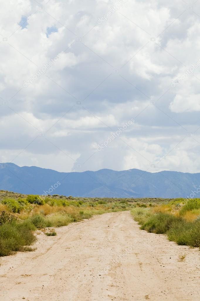 New Mexico, USA. Desert Trail With Mountains In The Distance