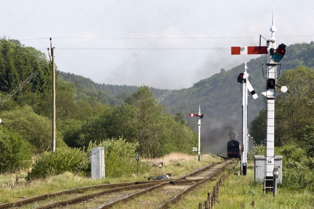 Train Coming Along The Tracks In Levisham, England