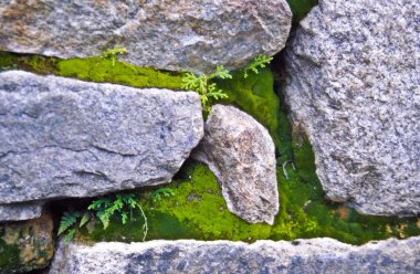 Machu picchu, peru, Güney Amerika, İnka stonemasonry yakın çekim