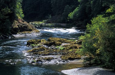 Orman Nehri