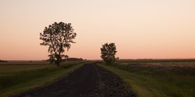 Dirt Road Through Fields, Manitoba, Canada clipart