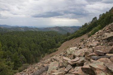 toprak kayması, chiricahua Dağları, arizona, ABD