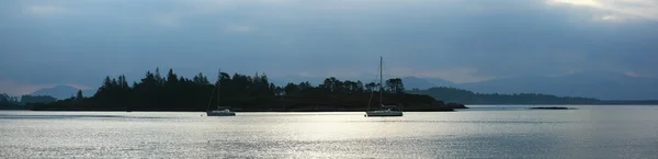 Brzy ráno v oysterbed přístavu — Stock fotografie