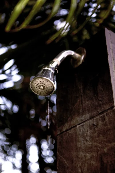 Cabeça de chuveiro — Fotografia de Stock