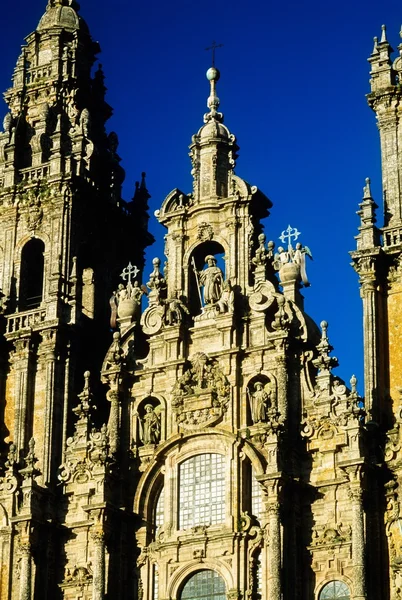 サンティアゴ ・ デ ・ コンポステーラ大聖堂、ガリシア、スペインの詳細 — ストック写真